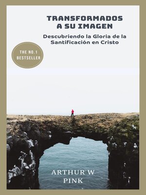 cover image of Transformados a Su Imagen